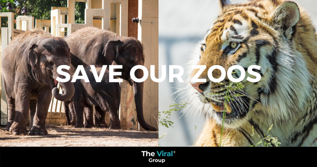 Chester Zoo told to prepare to shut indefinitely | The Viral Group